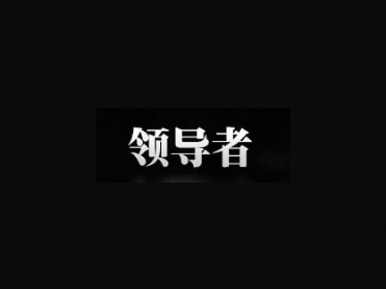 領導者國際集團有限公司
